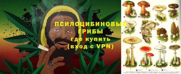 a pvp Алексин