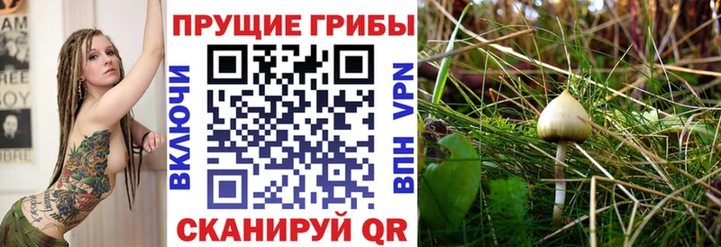 Псилоцибиновые грибы Psilocybe  как найти закладки  Ханты-Мансийск 